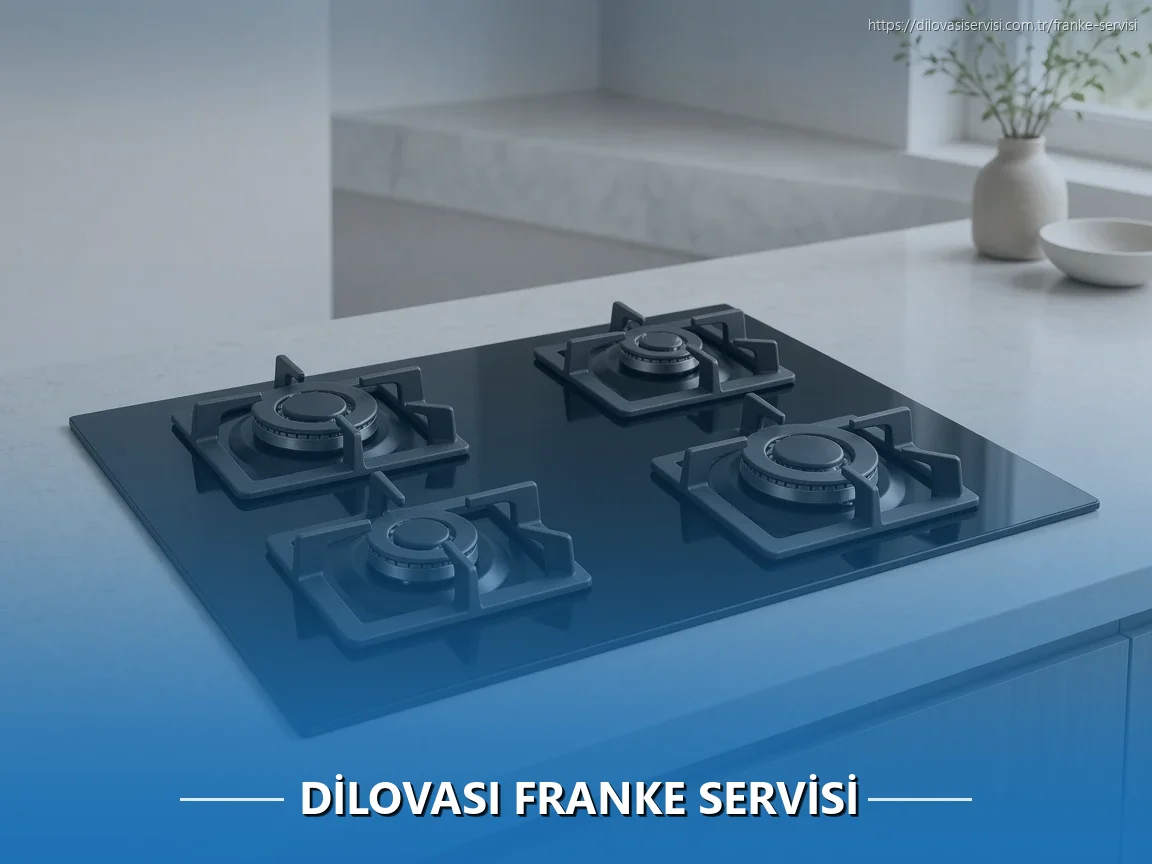 Dilovası Franke Servisi