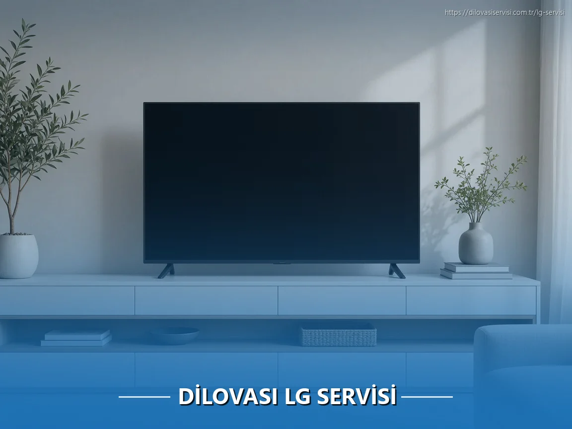 Dilovası LG Servisi